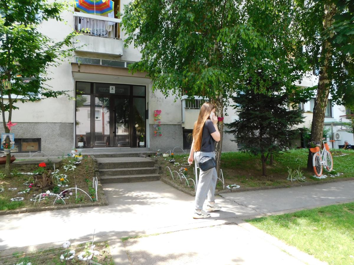 LOZNICA - Ukras zgrade.jpg