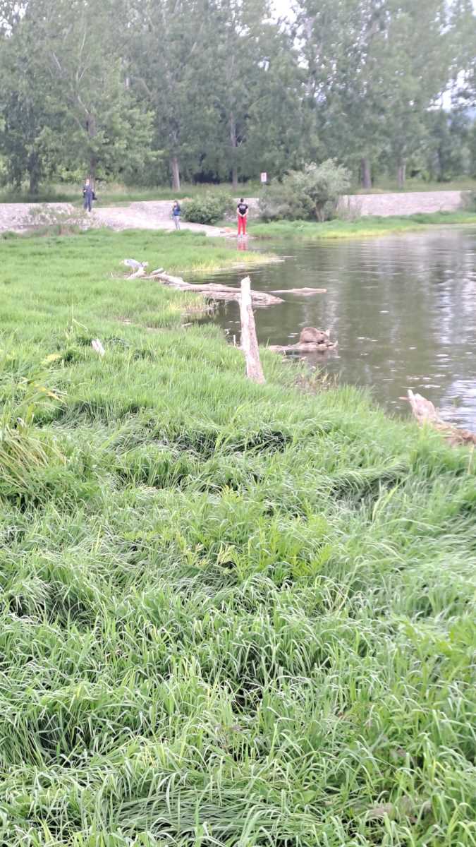 WhatsApp Image 2025-06-03 at 7.13.15 PM.jpeg