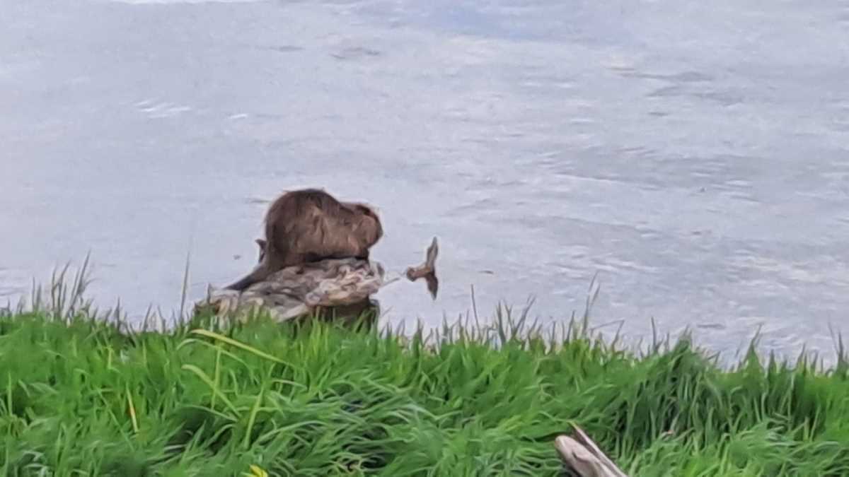 WhatsApp Image 2025-06-03 at 7.12.59 PM.jpeg