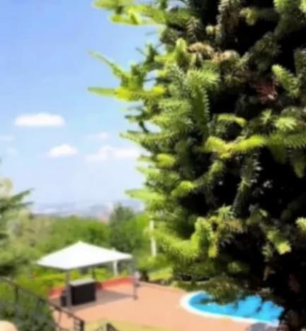 Screenshot 2025-06-05 193102.png