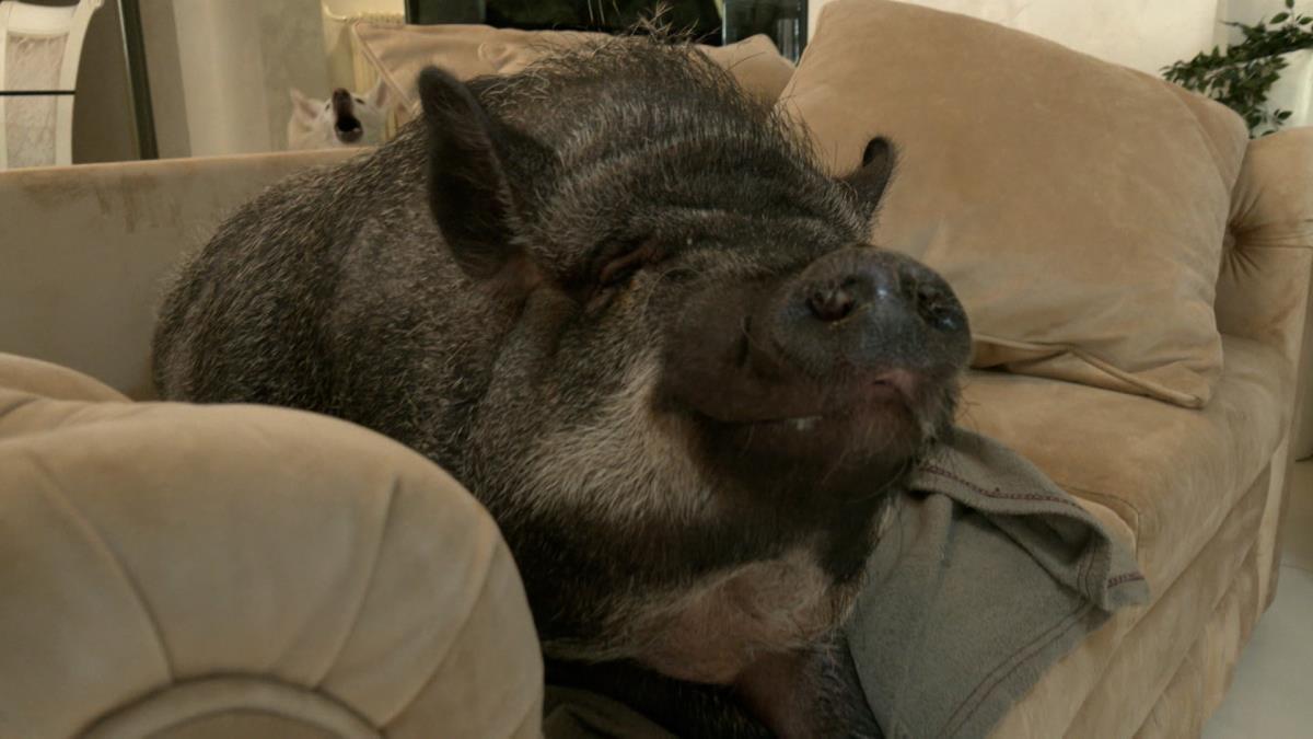 jutarnji clean.01_25_13_17.Still019.jpg