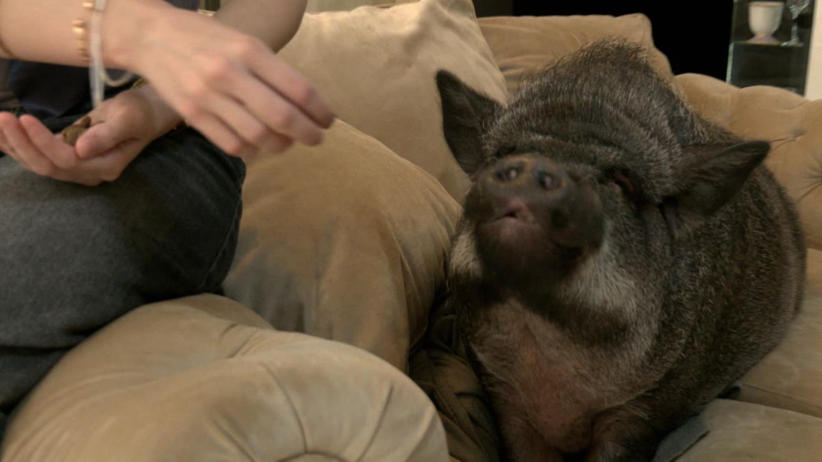 jutarnji clean.01_25_47_12.Still012.jpg