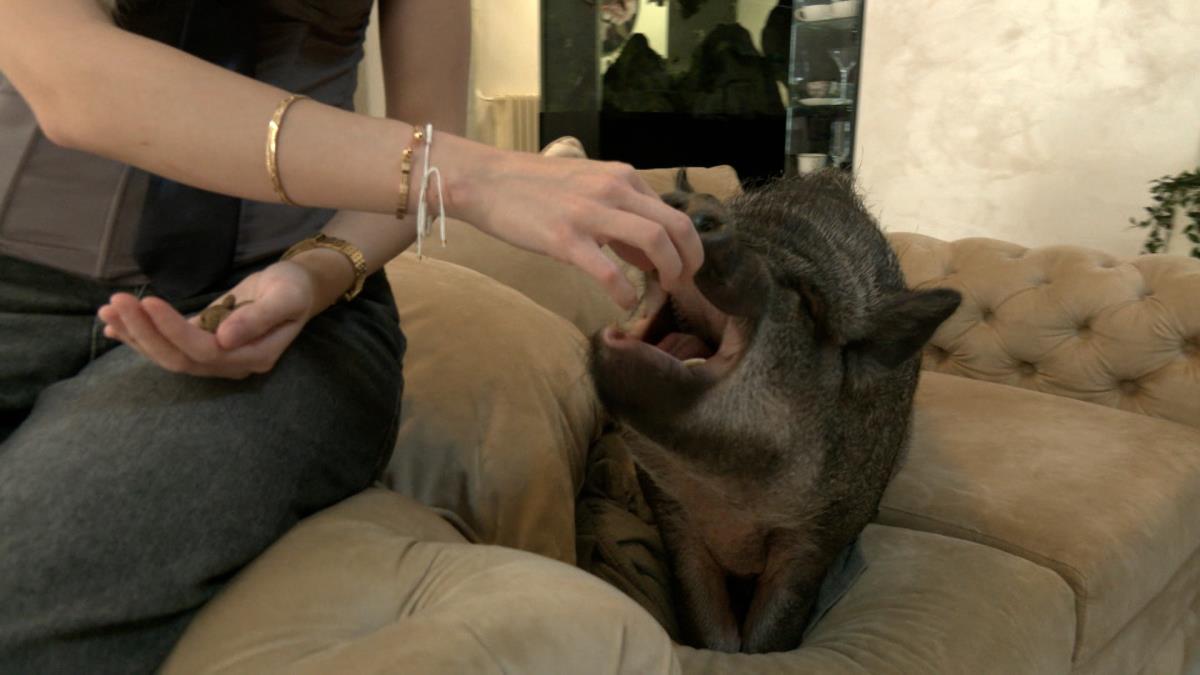 jutarnji clean.01_25_48_14.Still013.jpg