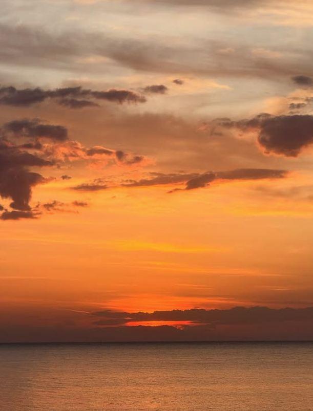 Koliko godina ima Dragana Kosjerina