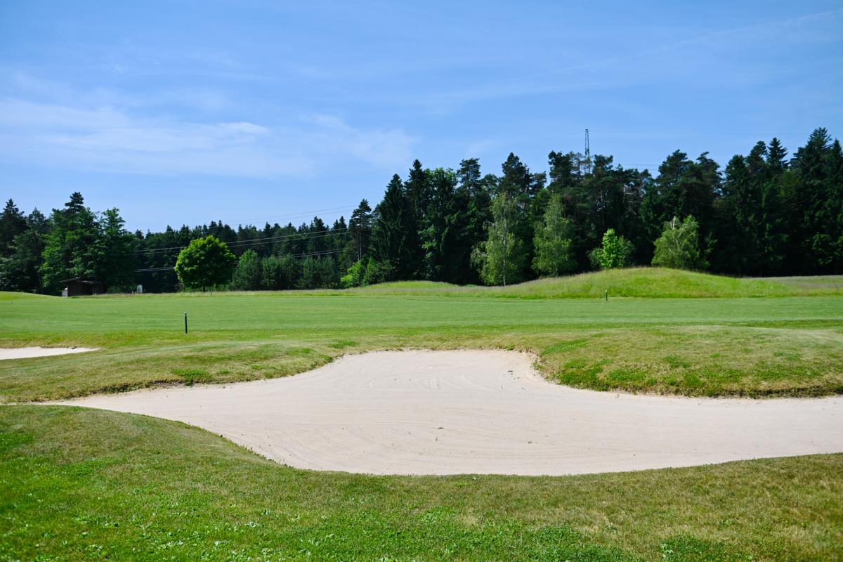 1606marko karovic (1).jpg