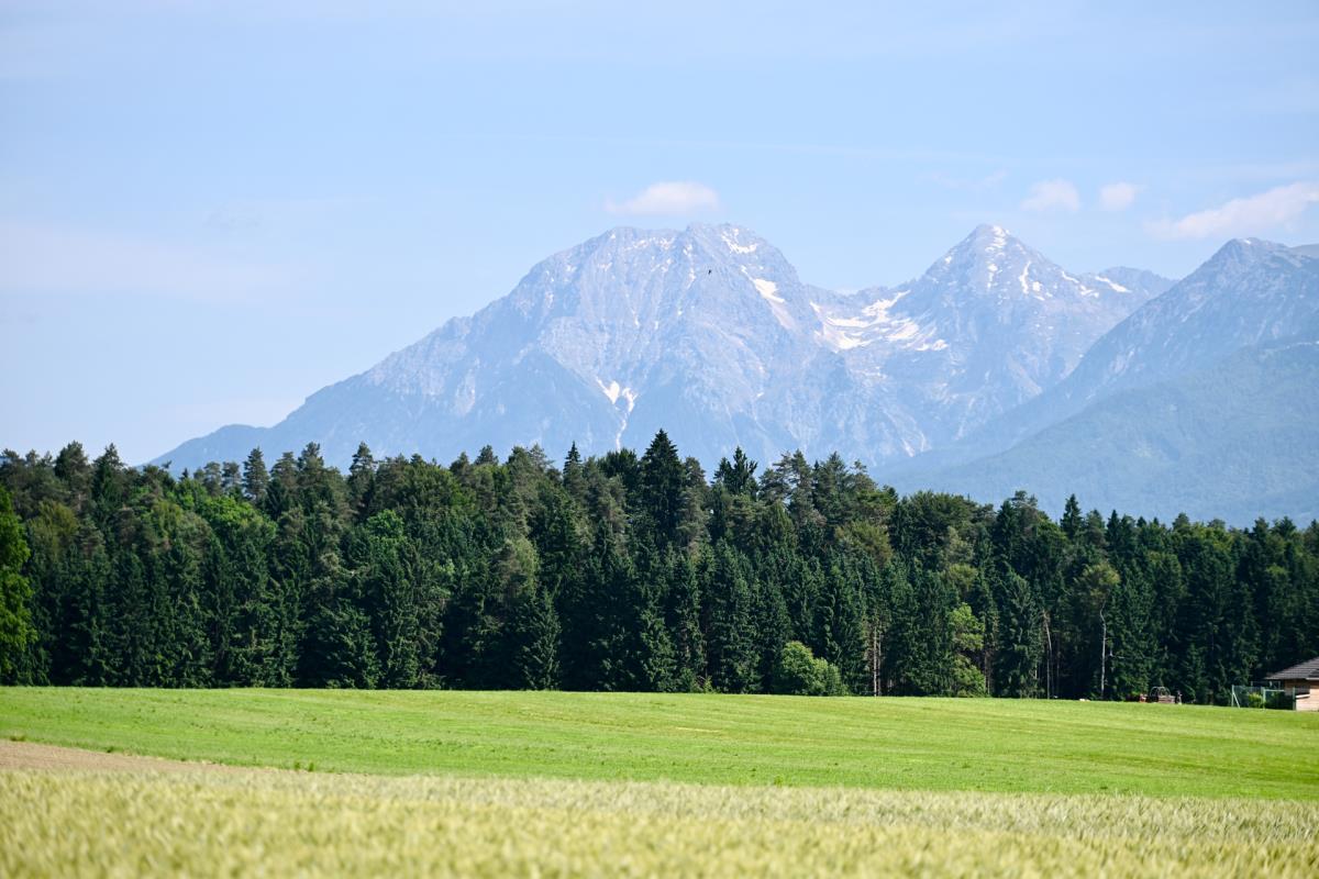 1606marko karovic (7).jpg