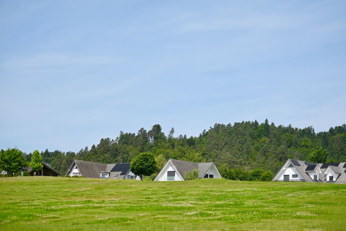 1606marko karovic (8).jpg