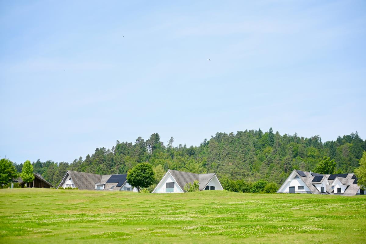 1606marko karovic (23).jpg