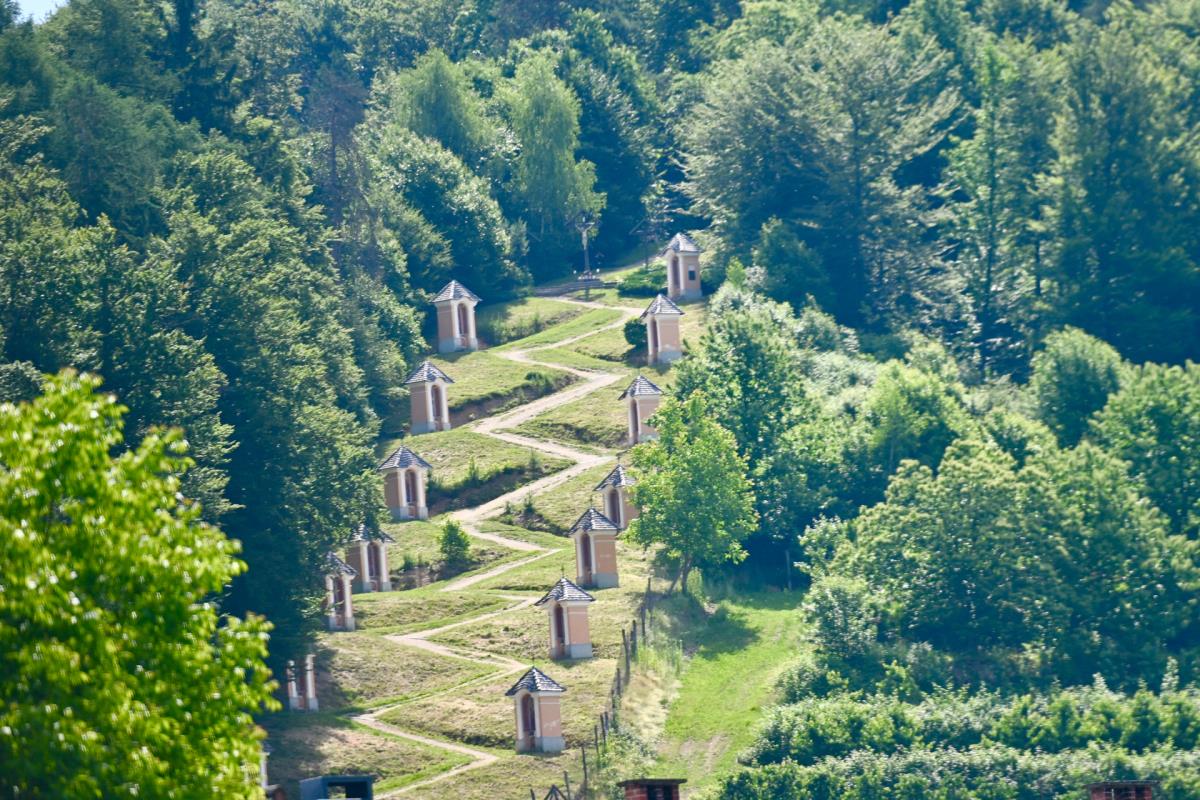 1606marko karovic (25).jpg