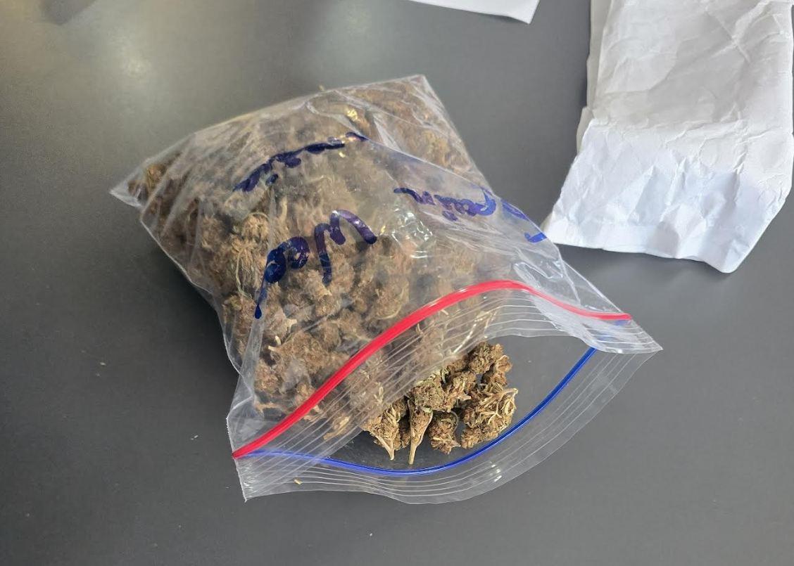 carina droga pošiljka foto carine srbije 4.jpg