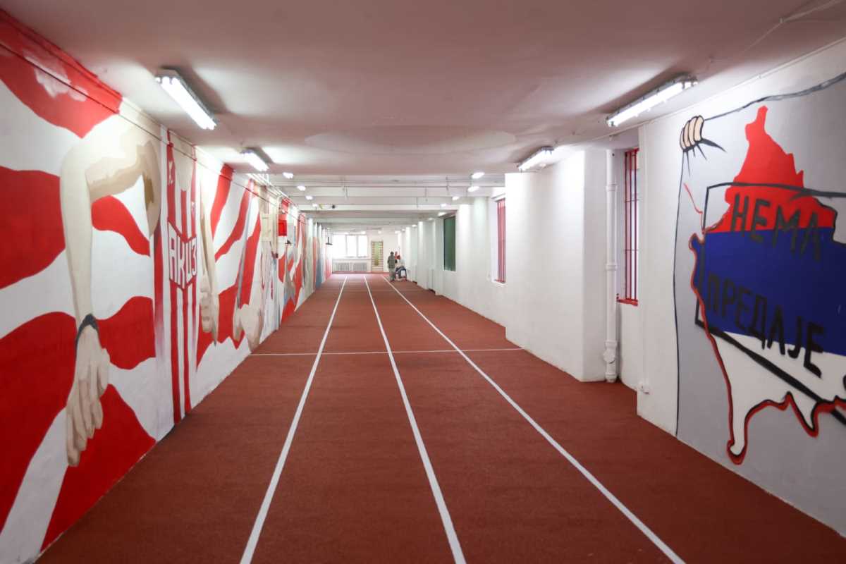 WhatsApp Image 2025-06-11 at 1.06.21 PM (1).jpeg