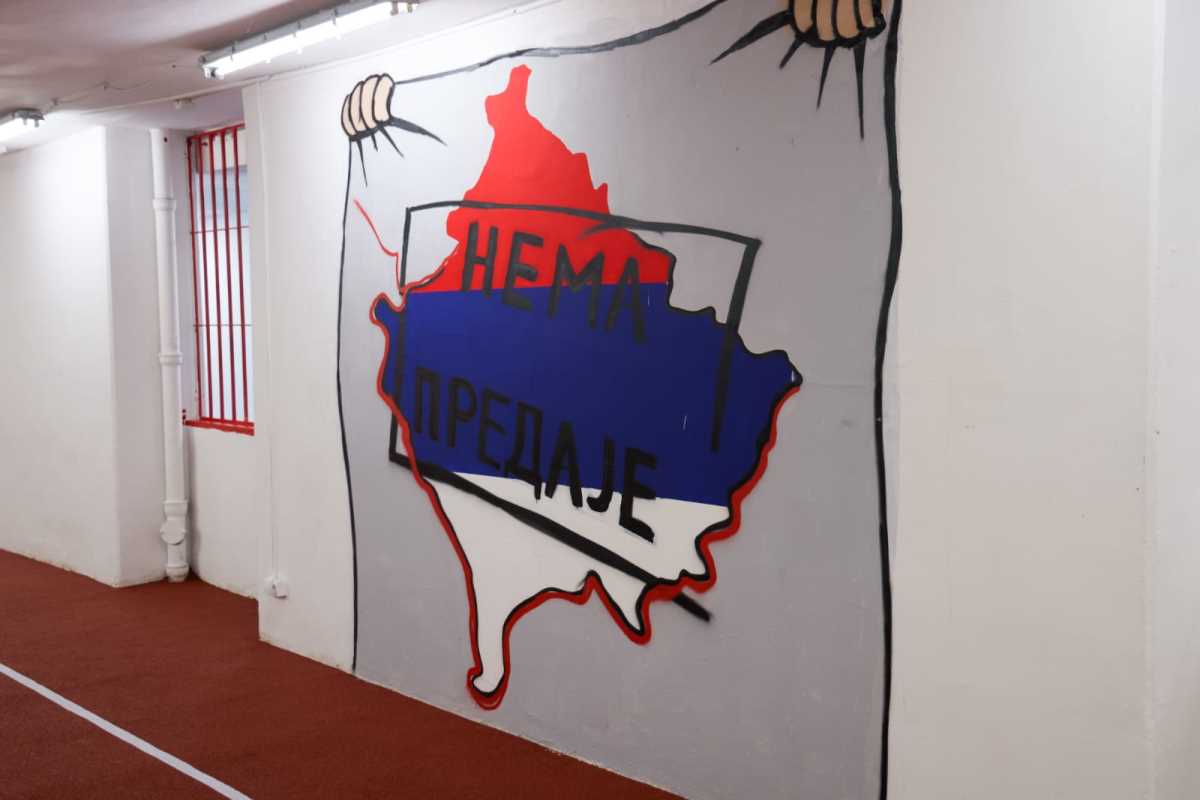 WhatsApp Image 2025-06-11 at 1.05.44 PM (1).jpeg