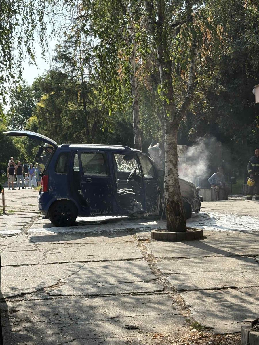 att.igHQiFD65ws3usoLOvQH3Jf2WgSgIlumgi-Y6xfBItc (1).jpeg