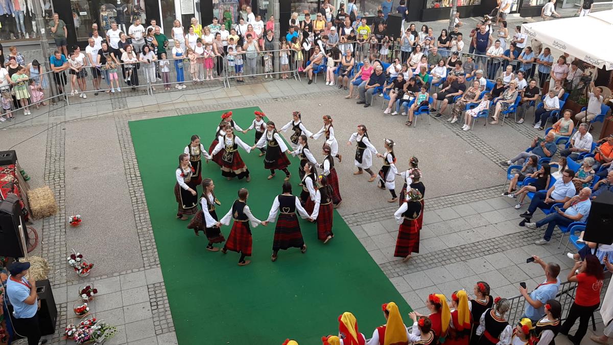 LOZNICA - Mladost,lepota i tradicija.jpg