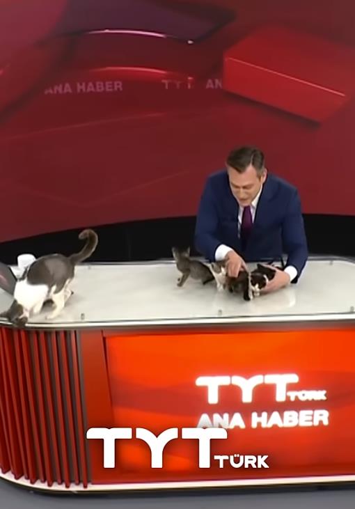 Screenshot 2025-06-13 093915.jpg