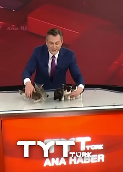 Screenshot 2025-06-13 093934.png