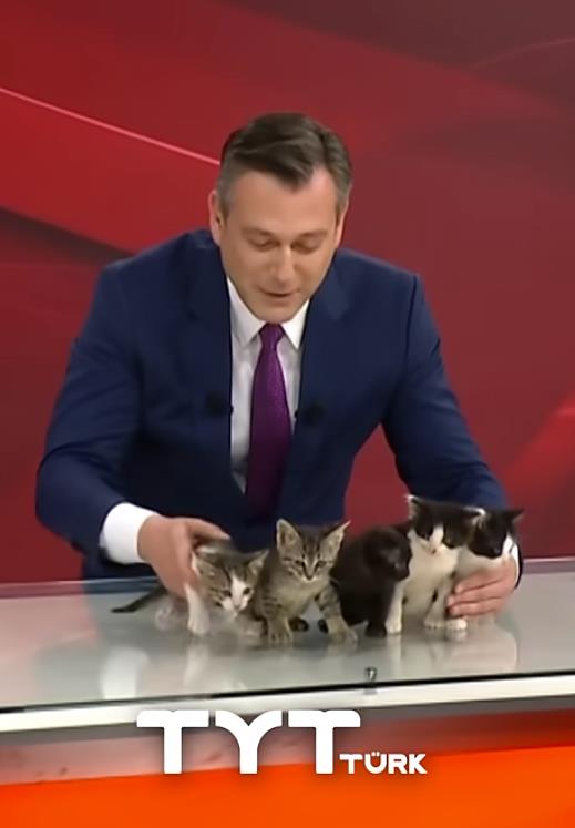 Screenshot 2025-06-13 094009.png