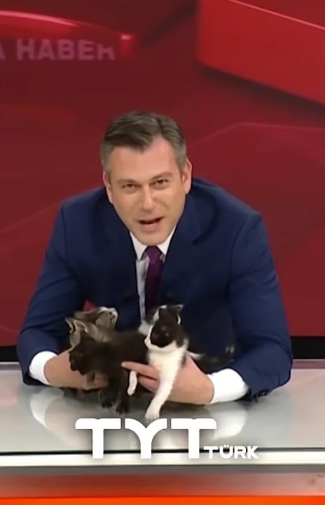 Screenshot 2025-06-13 094052.png