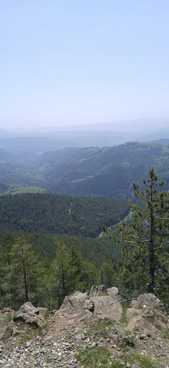 zlatibor_13.jpg