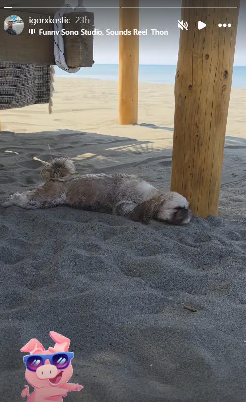 Screenshot 2025-06-14 124553.png