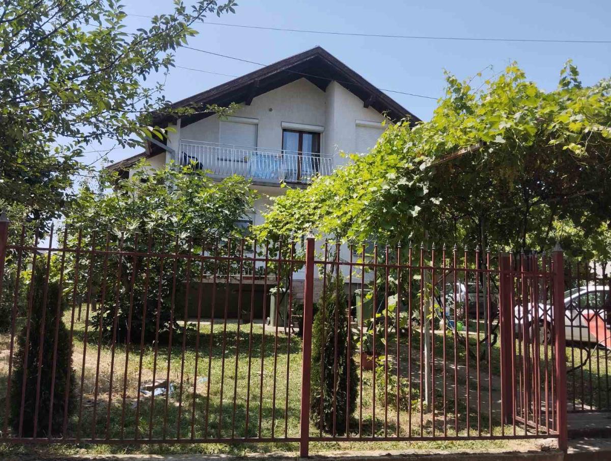 WhatsApp Image 2025-06-15 at 11.15.45 AM.jpeg