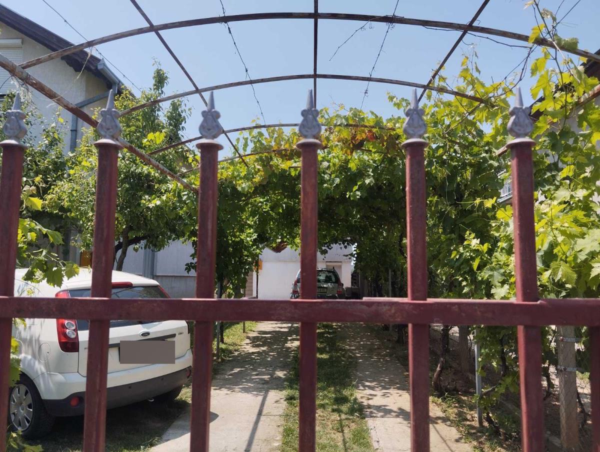 WhatsApp Image 2025-06-15 at 11.15.50 AM.jpeg