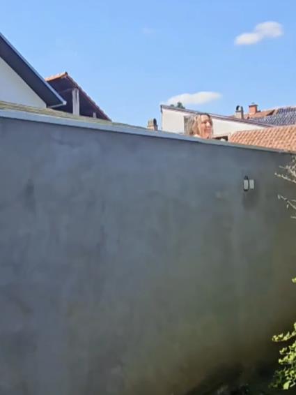  Dejan Dragojević objavio neočekivanu scenu iz doma