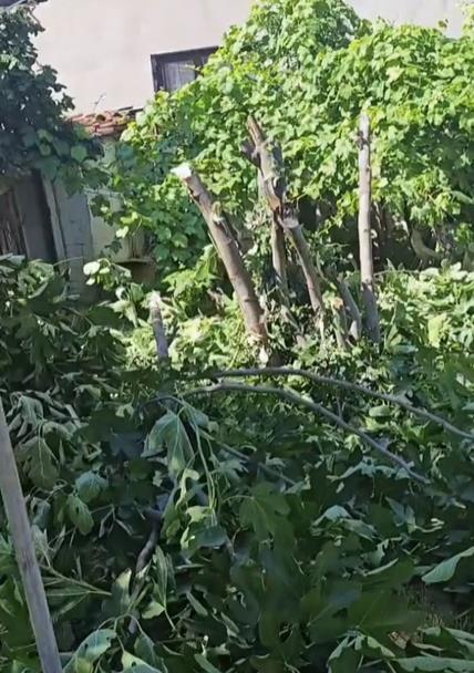  Dejan Dragojević objavio neočekivanu scenu iz doma