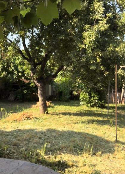 Screenshot 2025-06-15 123333.png