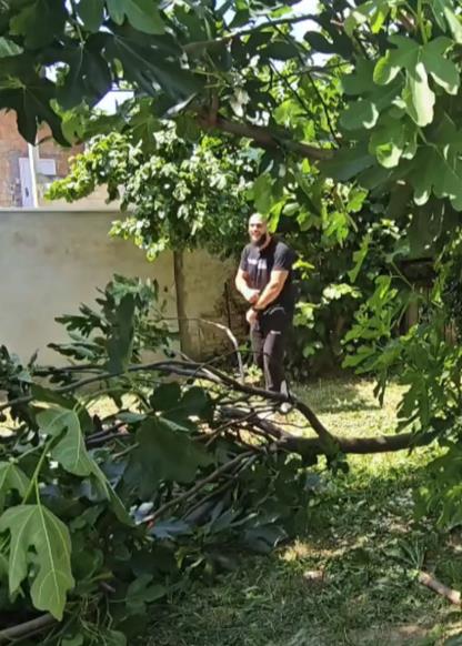 Screenshot 2025-06-15 123323.png