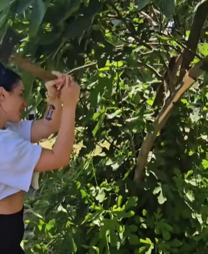 Screenshot 2025-06-15 123319.png