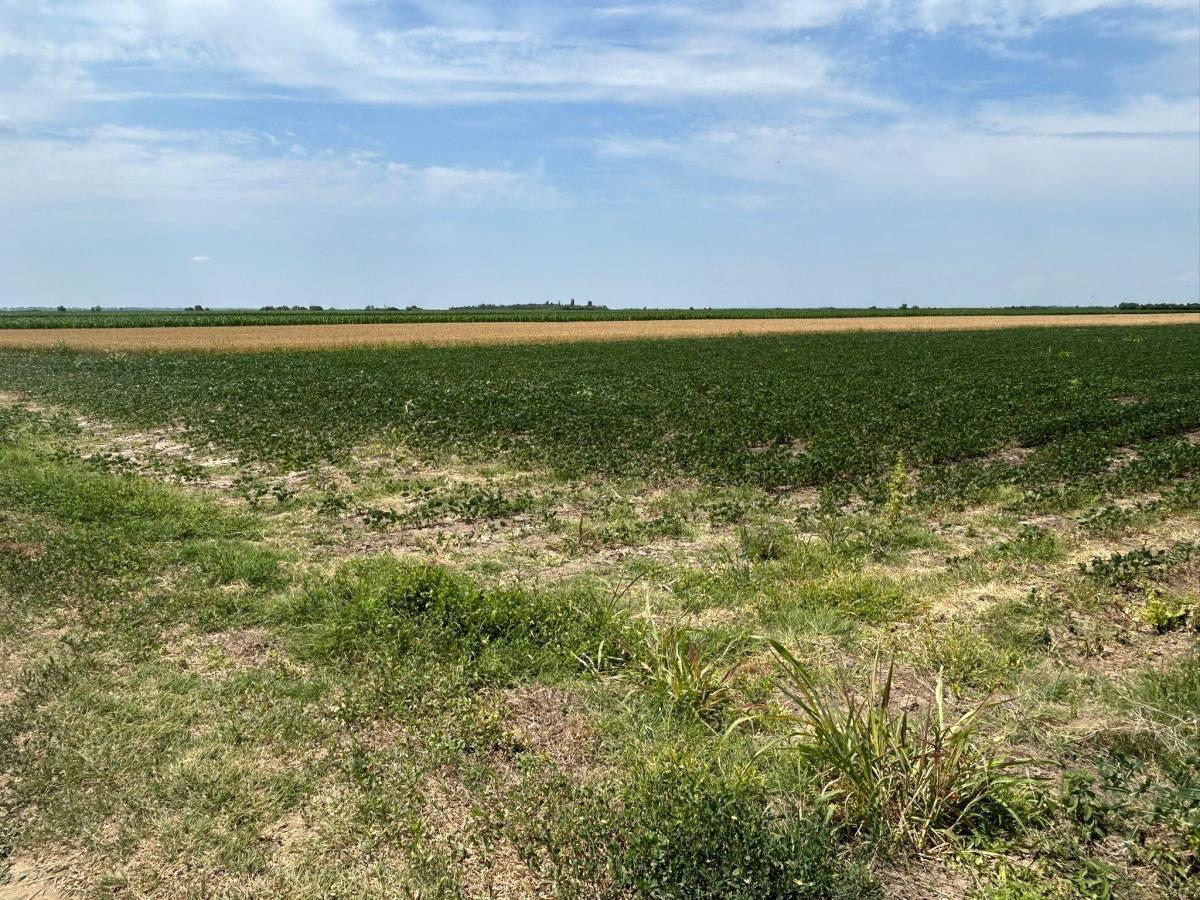 WhatsApp Image 2025-06-16 at 12.14.44_479559b8.jpg