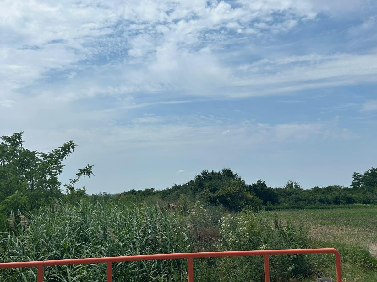 WhatsApp Image 2025-06-16 at 12.14.44_299ba84b.jpg