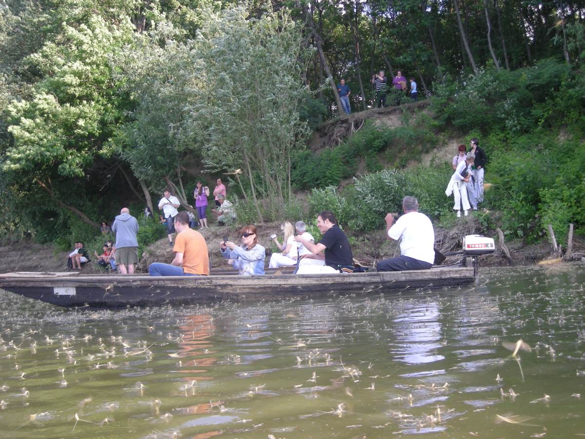 dobro se vidi s obale, još bolje iz čamaca foto s.u..jpg