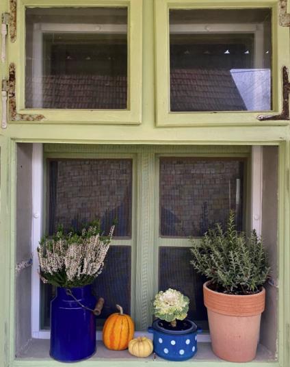 Screenshot 2025-06-17 122408.png