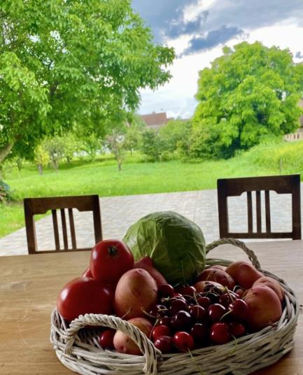 Screenshot 2025-06-17 122404.png