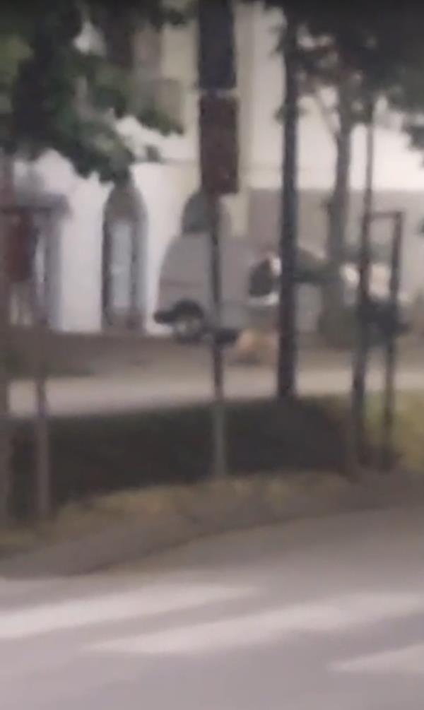 Snimak pucnjave na prostorije SNS u Vrnjačkoj Banji