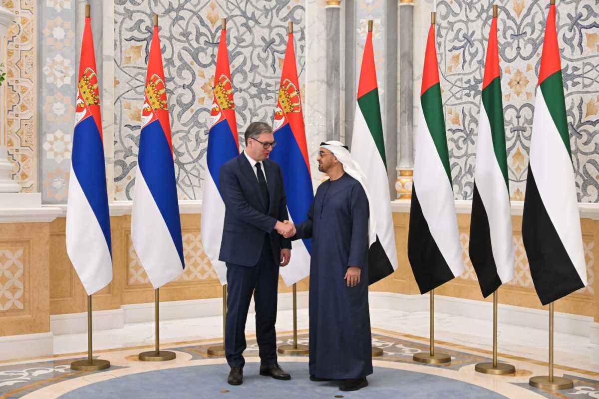 WhatsApp Image 2025-06-18 at 11.55.38 AM (1).jpeg