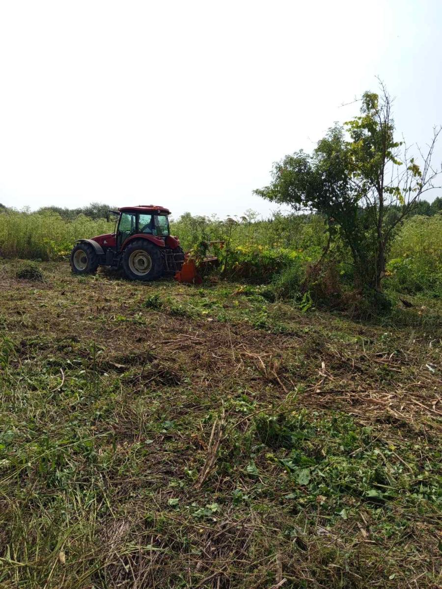 image00009.jpeg