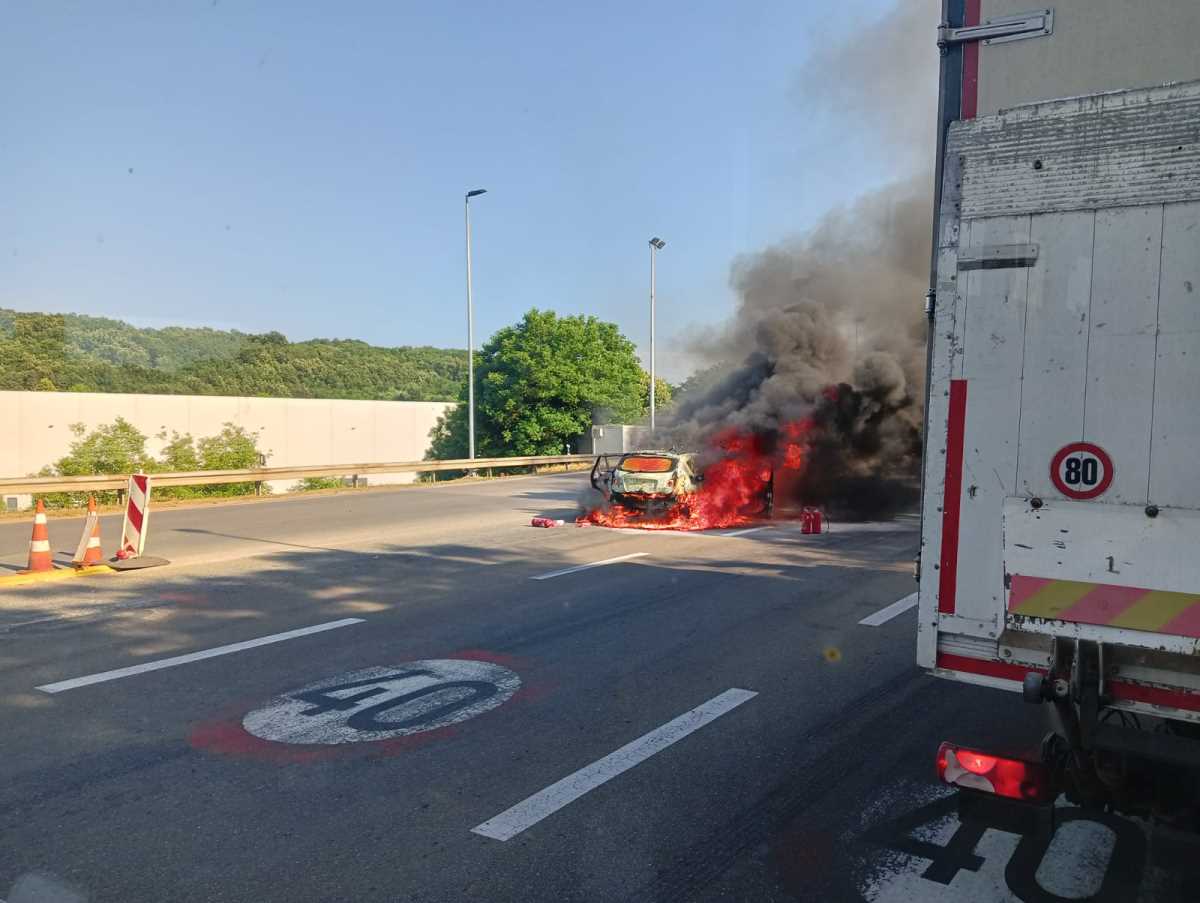 WhatsApp Image 2025-06-20 at 5.23.32 PM.jpeg