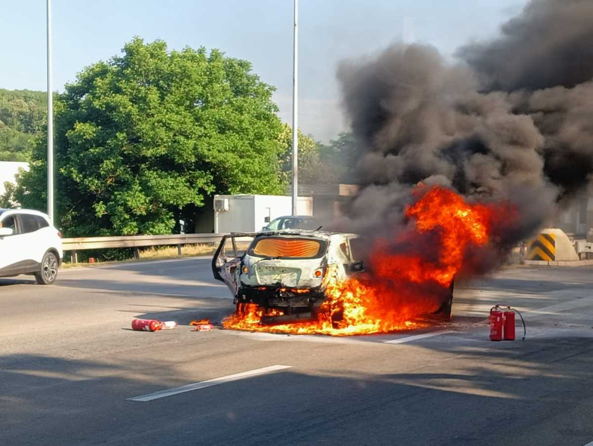 WhatsApp Image 2025-06-20 at 5.23.28 PM (2).jpeg