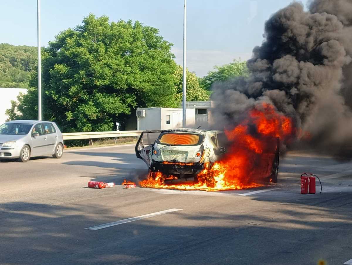 WhatsApp Image 2025-06-20 at 5.23.28 PM.jpeg