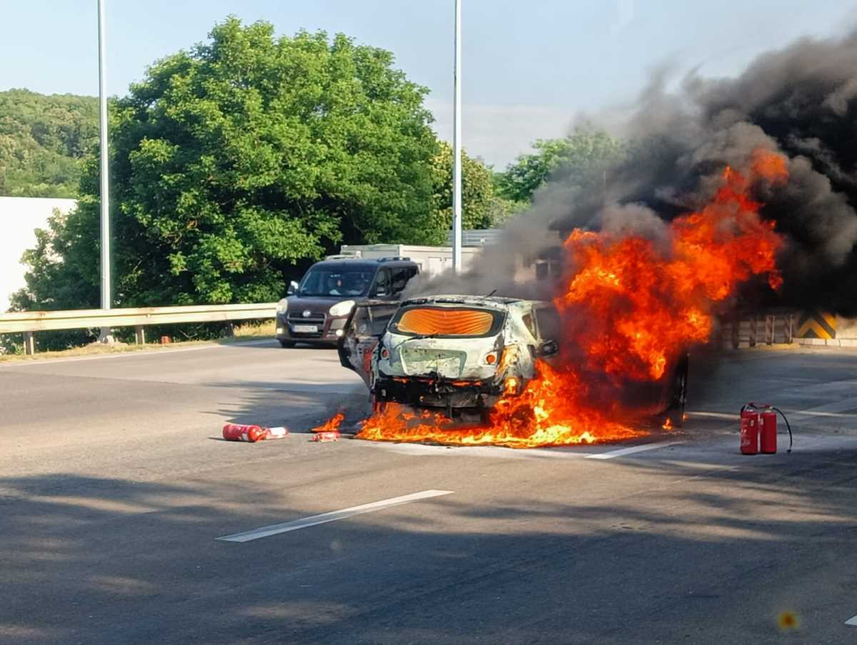 WhatsApp Image 2025-06-20 at 5.23.27 PM.jpeg