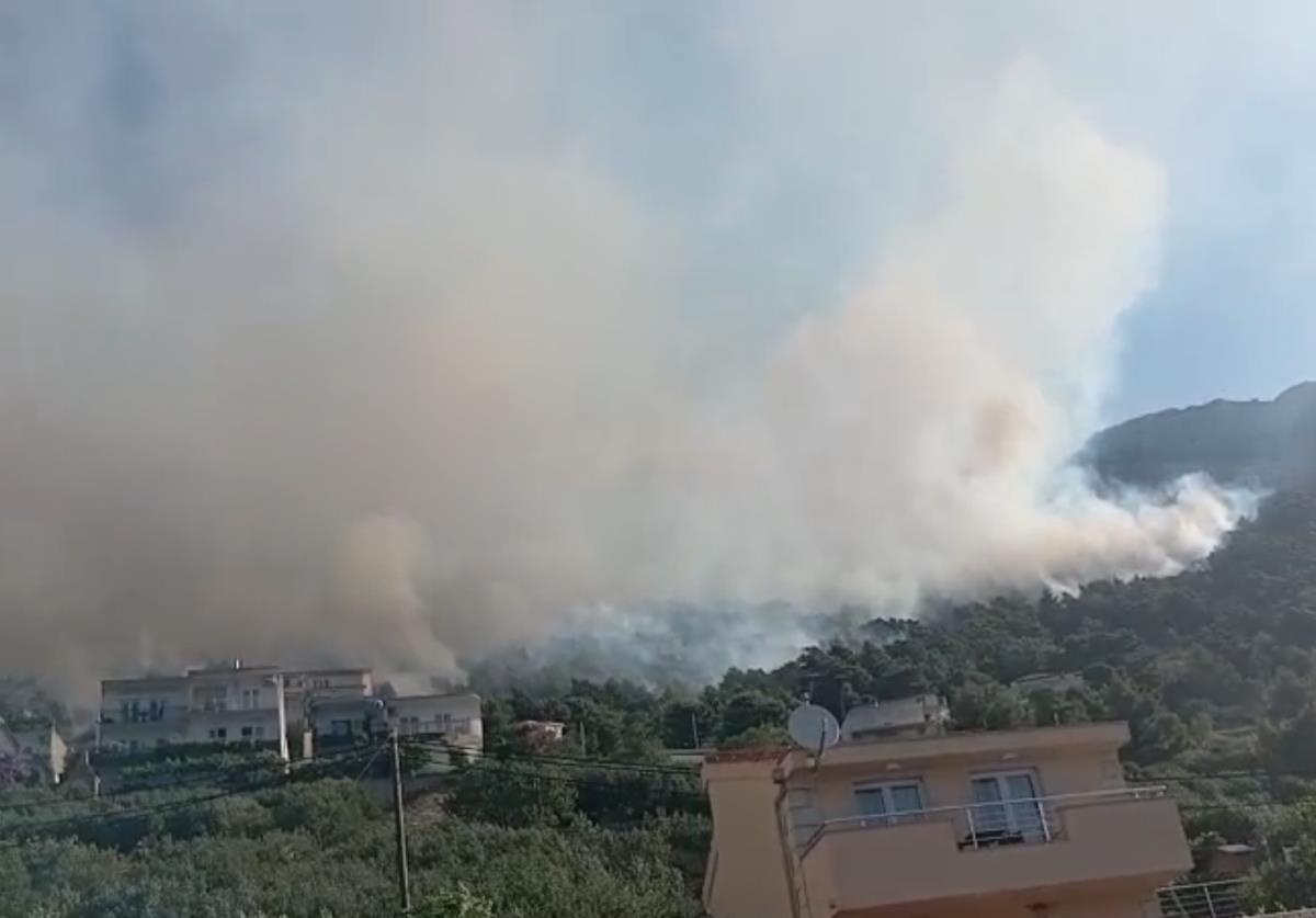 Screenshot 2025-06-21 100654.png