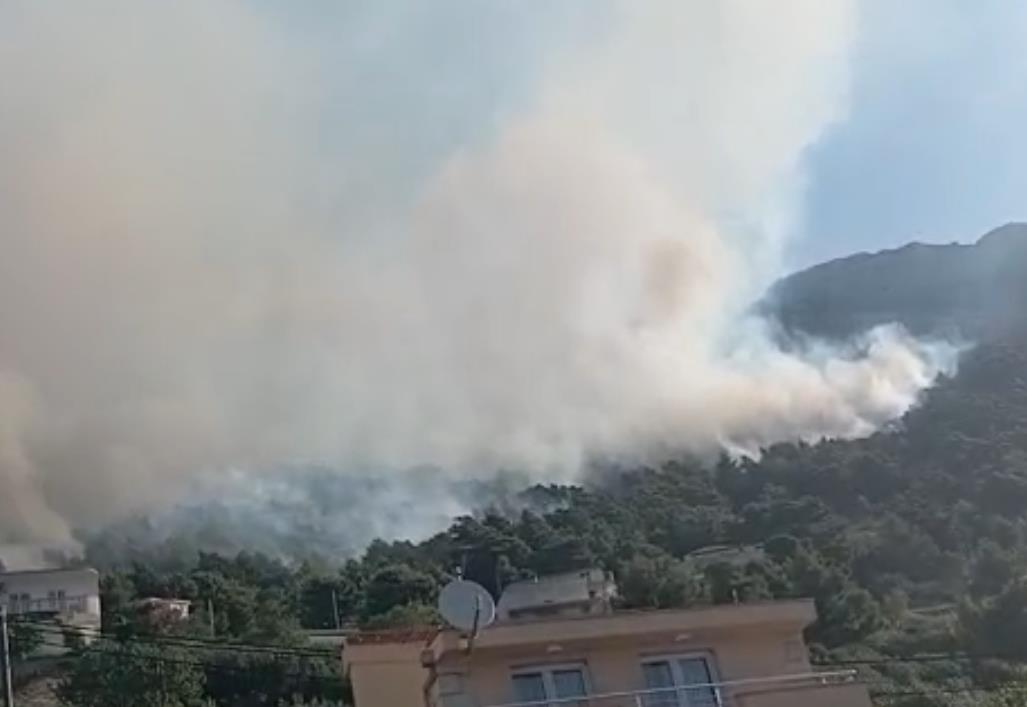 Screenshot 2025-06-21 100648.png