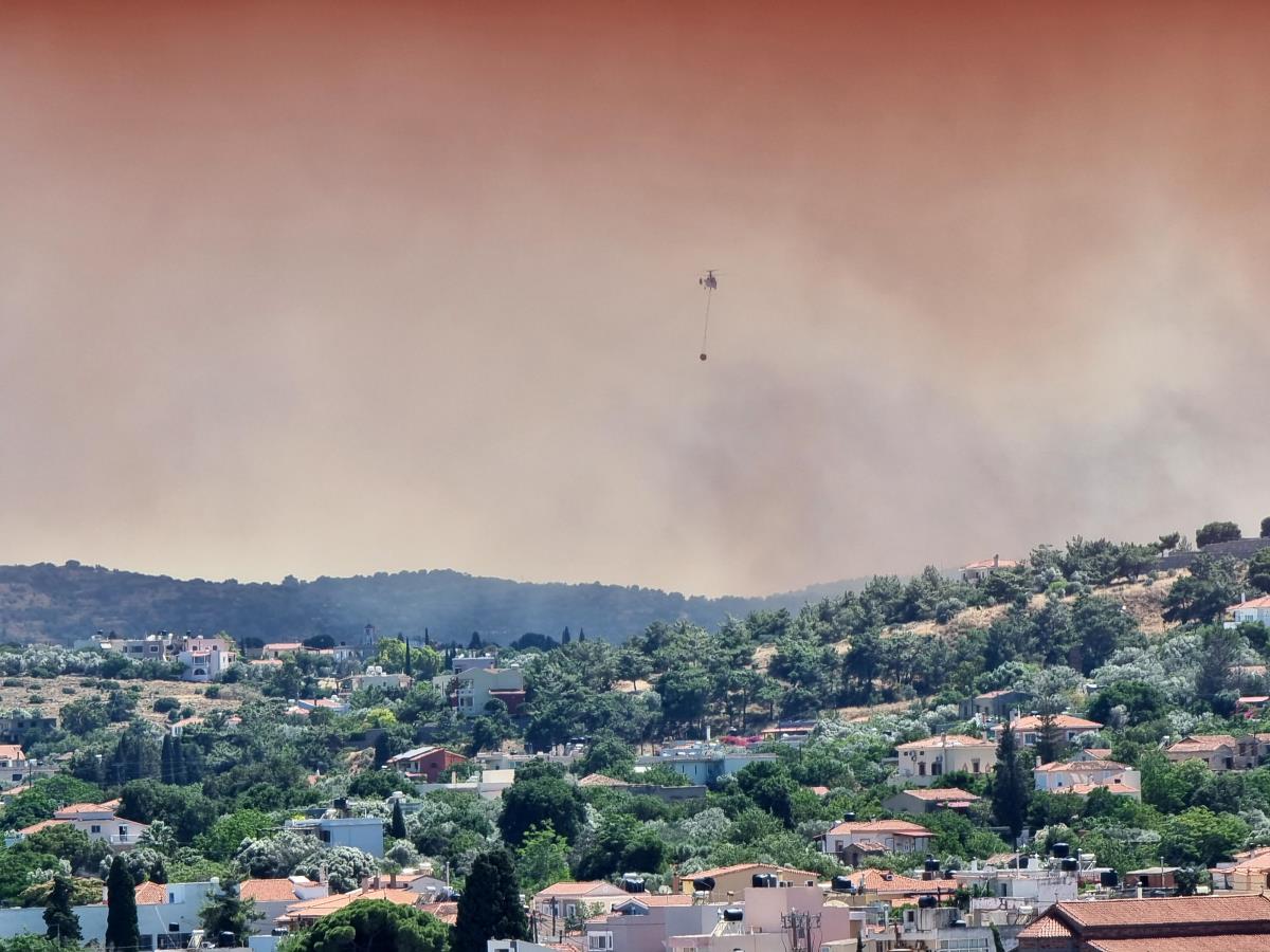 x11 EPA Kostas Kourgias.jpg