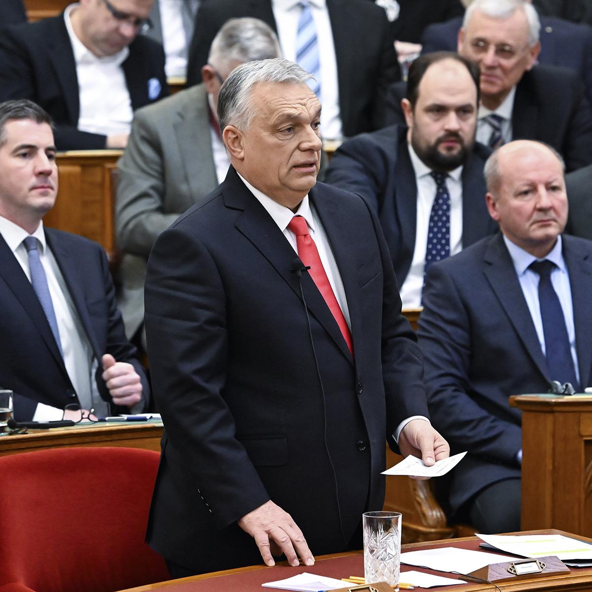 x EPA Zoltan Mathe.jpg