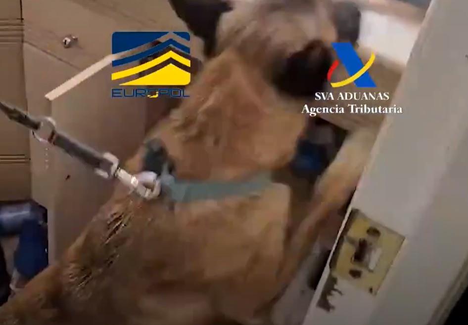 Screenshot 2025-06-24 113403.jpg