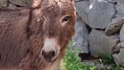 Screenshot 2025-06-25 111042.png