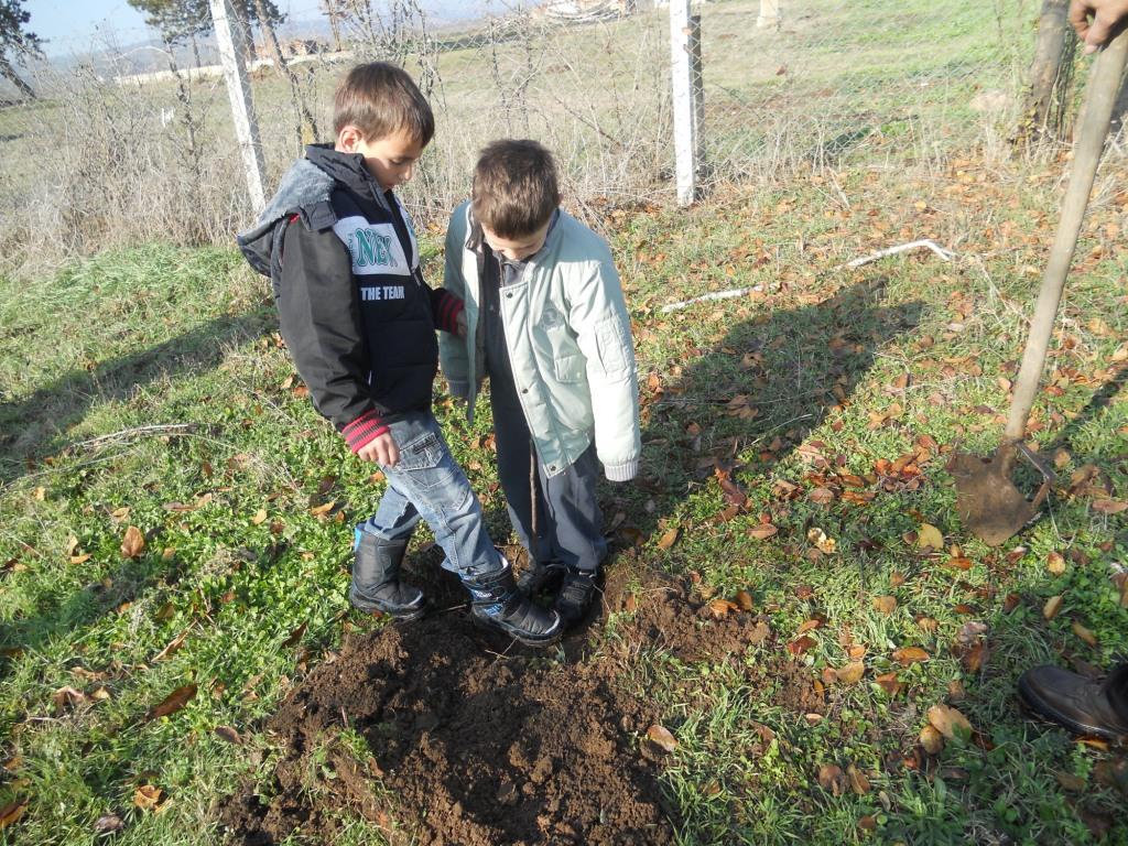 djaci-vocnjak-sadnja-kursumlija.jpg